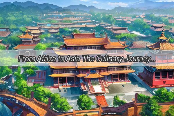 From Africa to Asia The Culinary Journey of a Chef in China